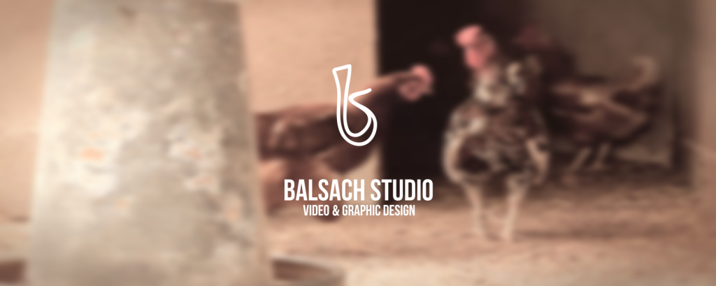 cropped-gallineta-01.png